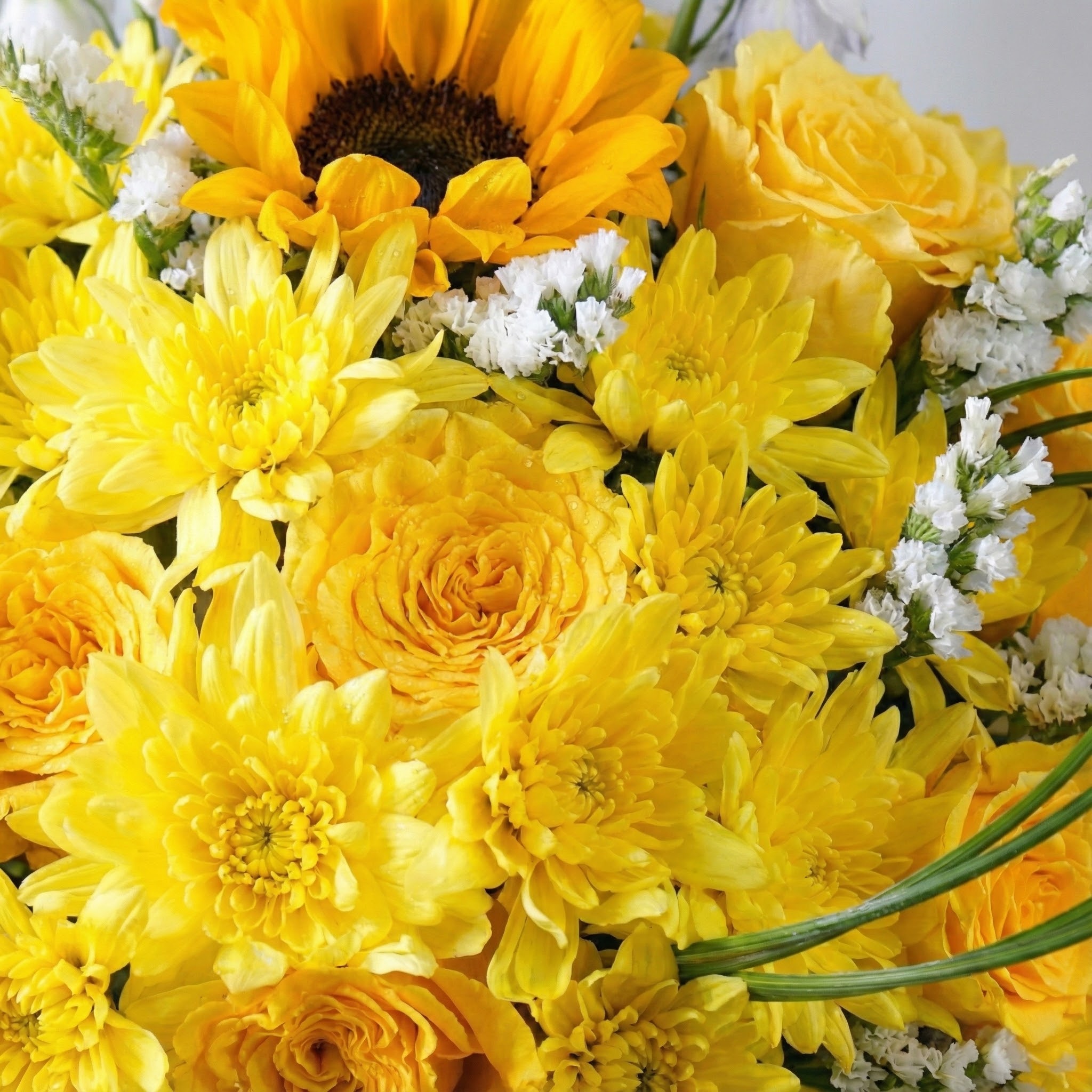 فازة صفراء فريدة