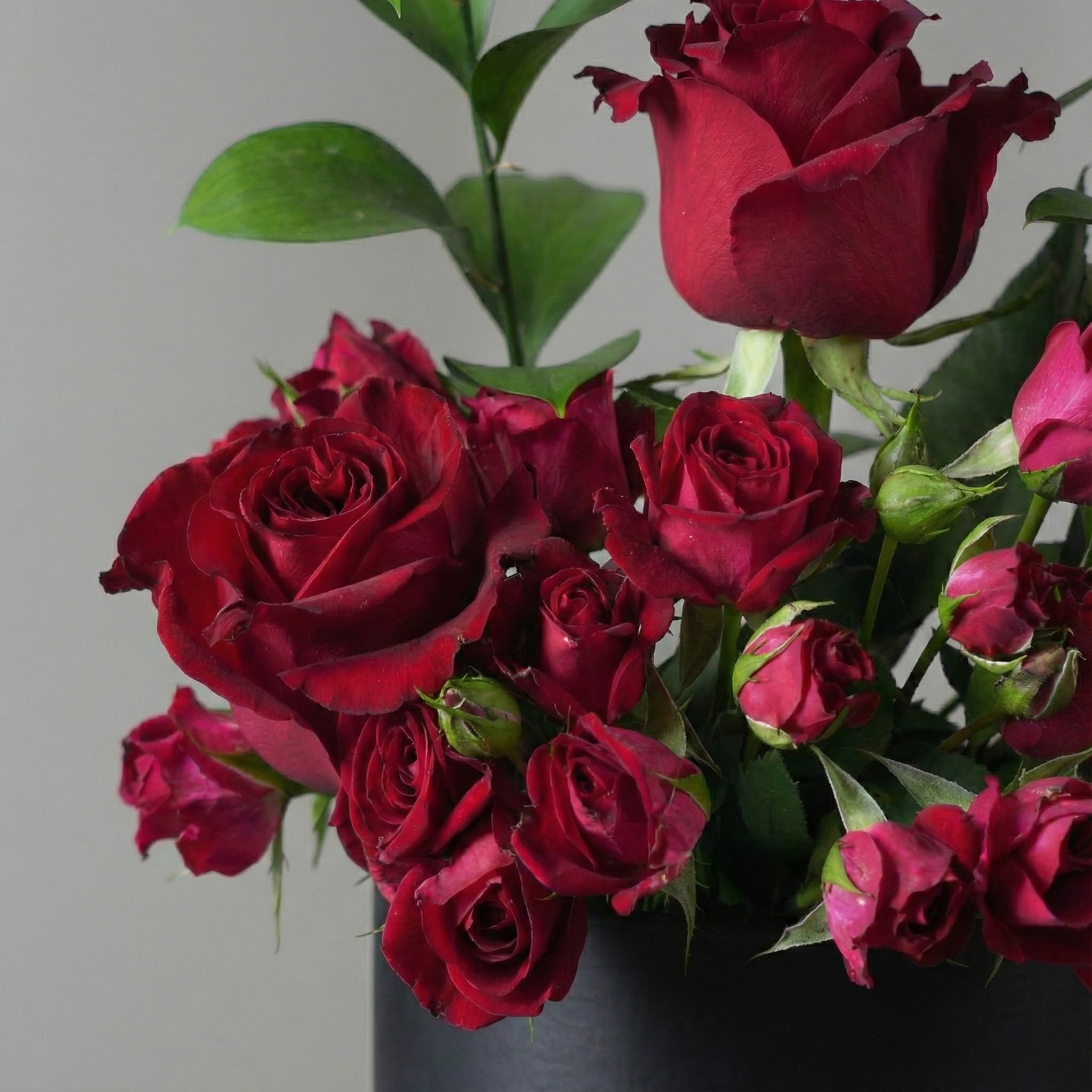 فازة الفايبر السوداء