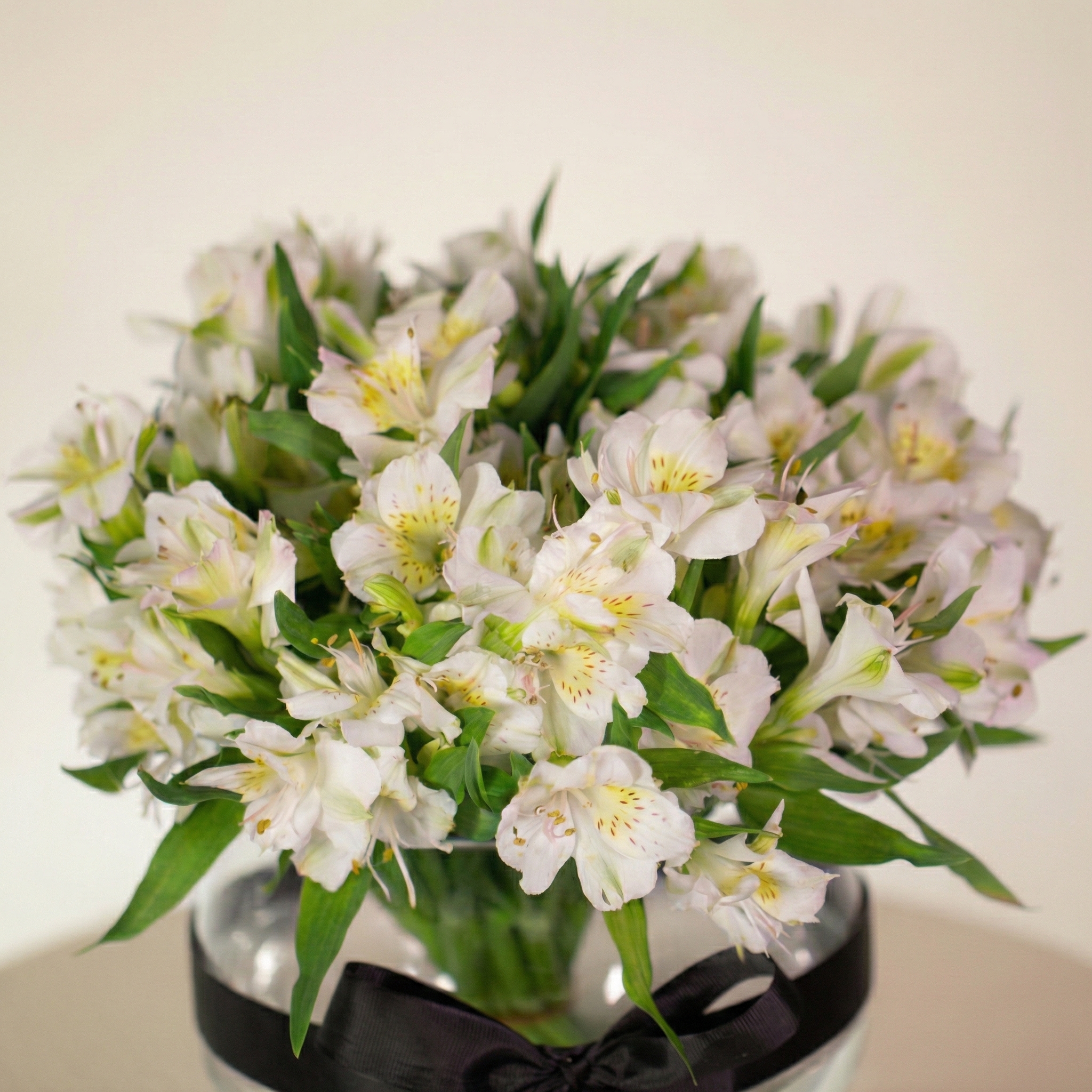 فازة ضوء القمر