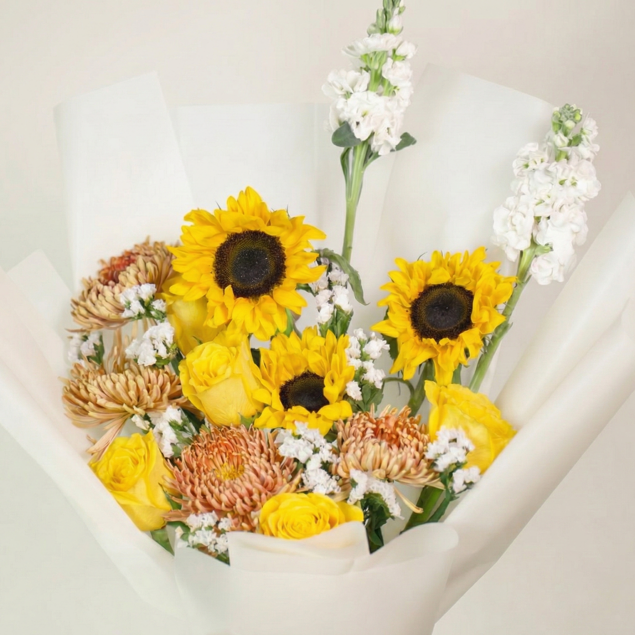 باقة دوار الشمس