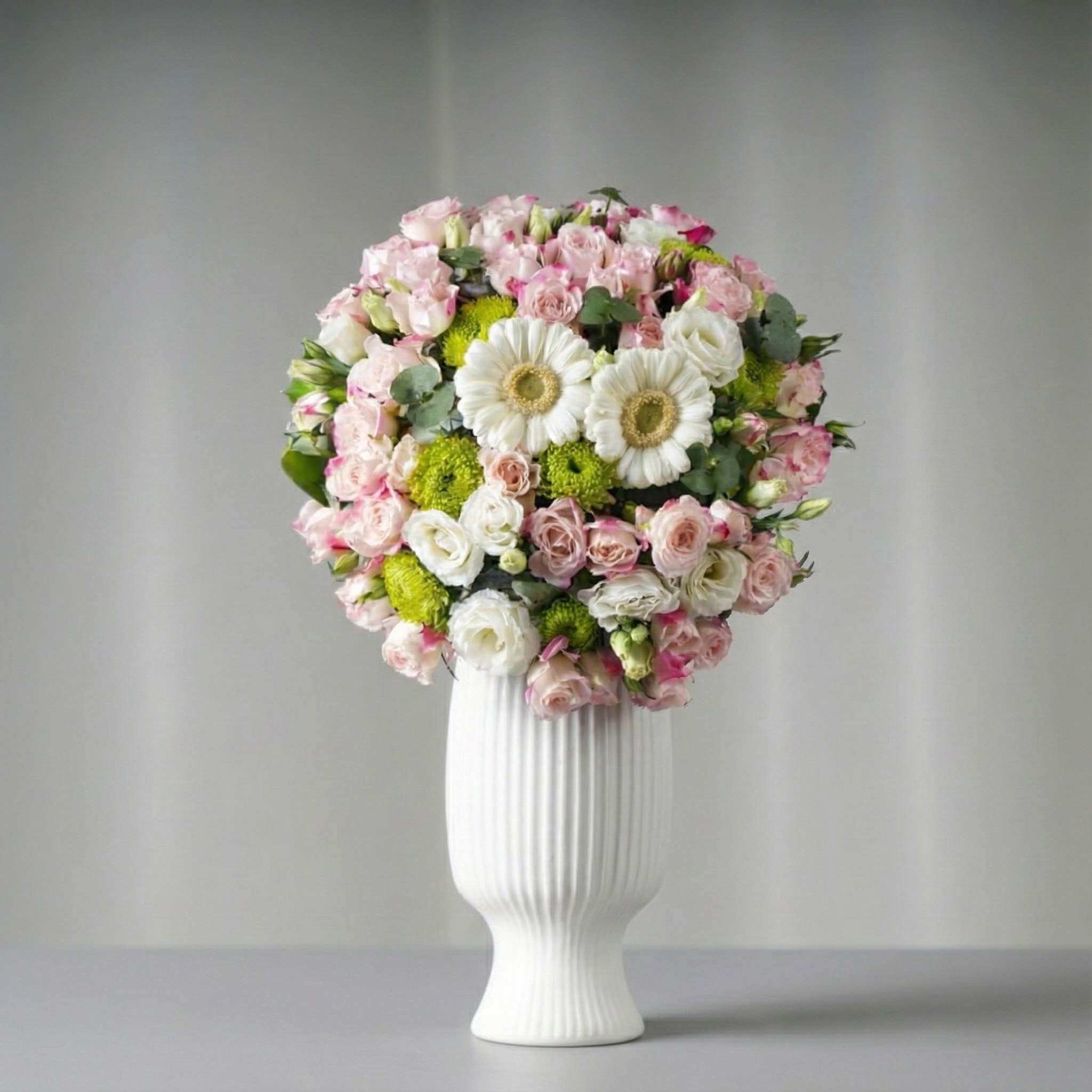 فازة جيربيرا