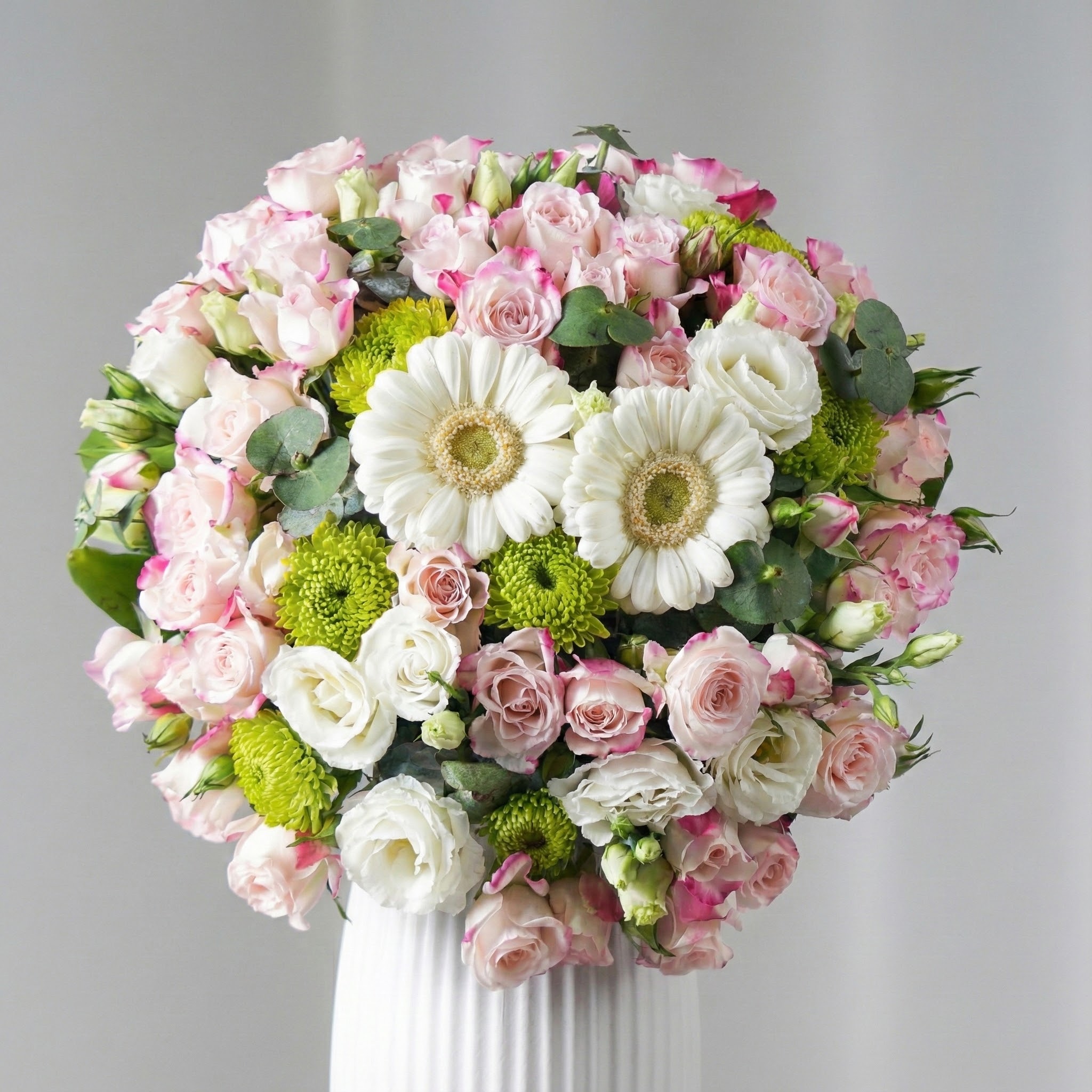 فازة جيربيرا