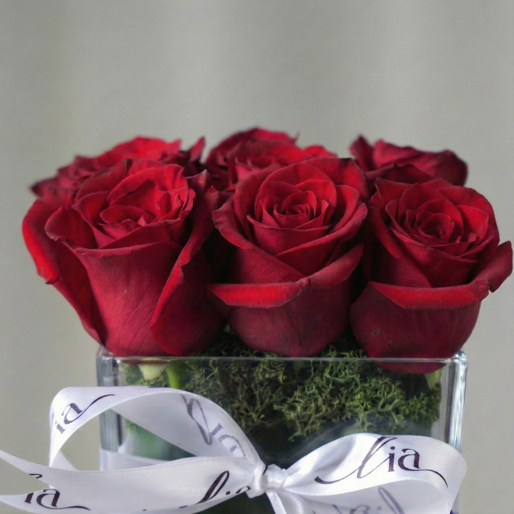 الفازة الحمراء المربعة