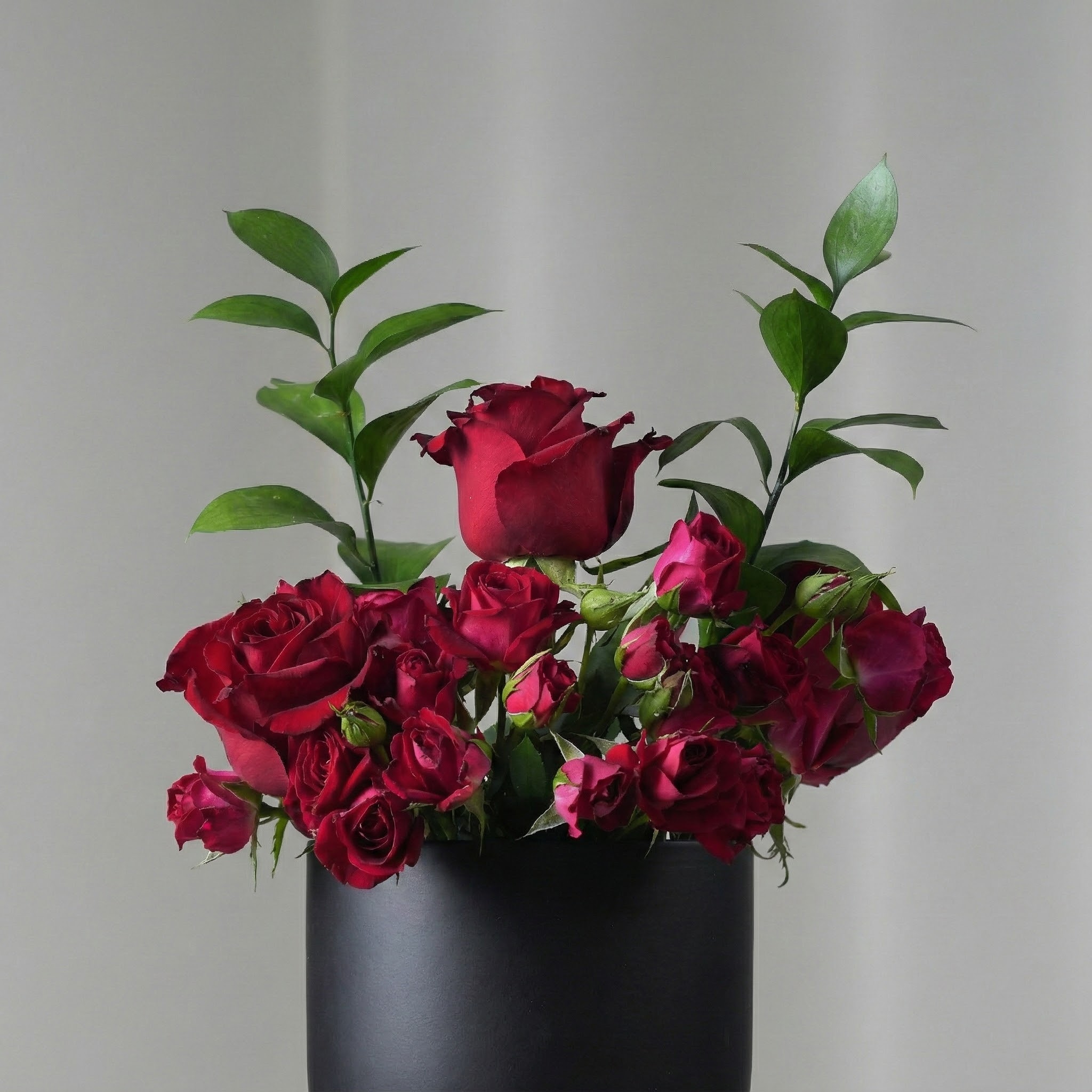 فازة الفايبر السوداء